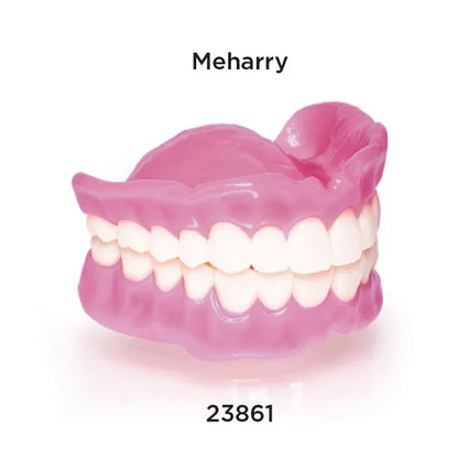 Rodin Denture Base 2.0
