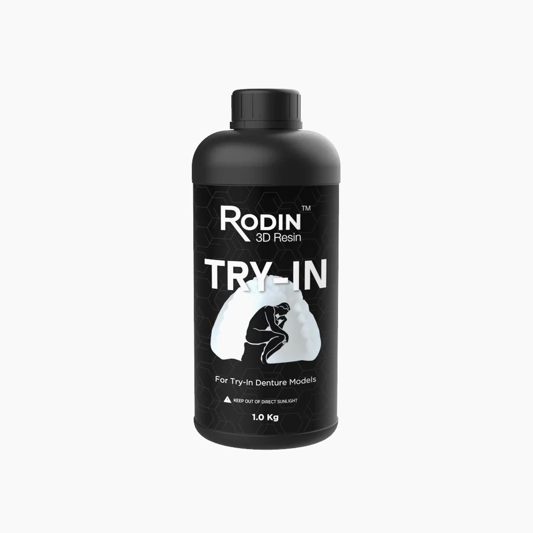 Rodin Try In Resin